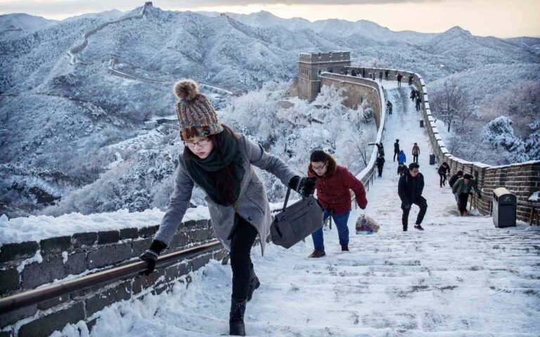 Biocrusts: Unseen protectors of the Great Wall of China