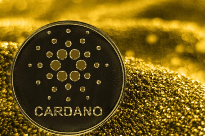 Everything You Need to Know About Cardano Ada - The Hard News Daily