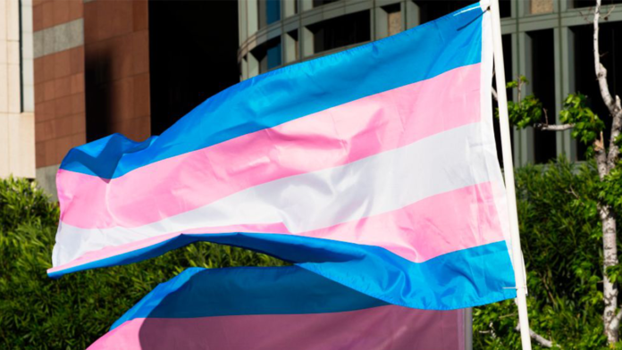 Texas judge bars state from getting transgender youngsters' gender transition data. - The Hard News Daily