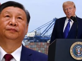 China strikes back at Trump with Tariffs on U.S. Good and orders Google probe